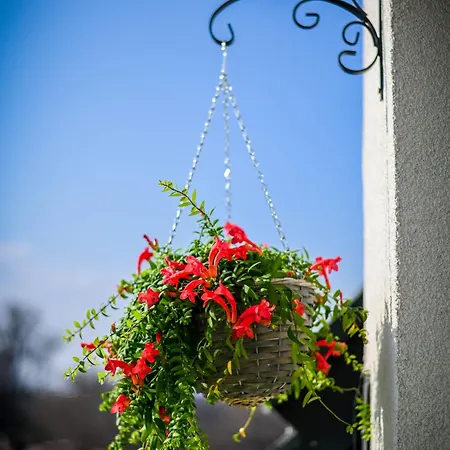 Apartment Cloud 6 -top Center,360° View,free Private Parking *