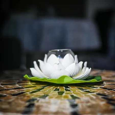 Apartman Cloud 6 -top Center,360° View,free Private Parking *