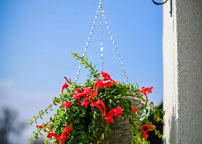 公寓 Cloud 6 -top Center,360° View,free Private Parking *